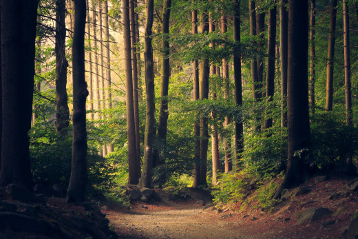 1003471 (a): :2560x1705